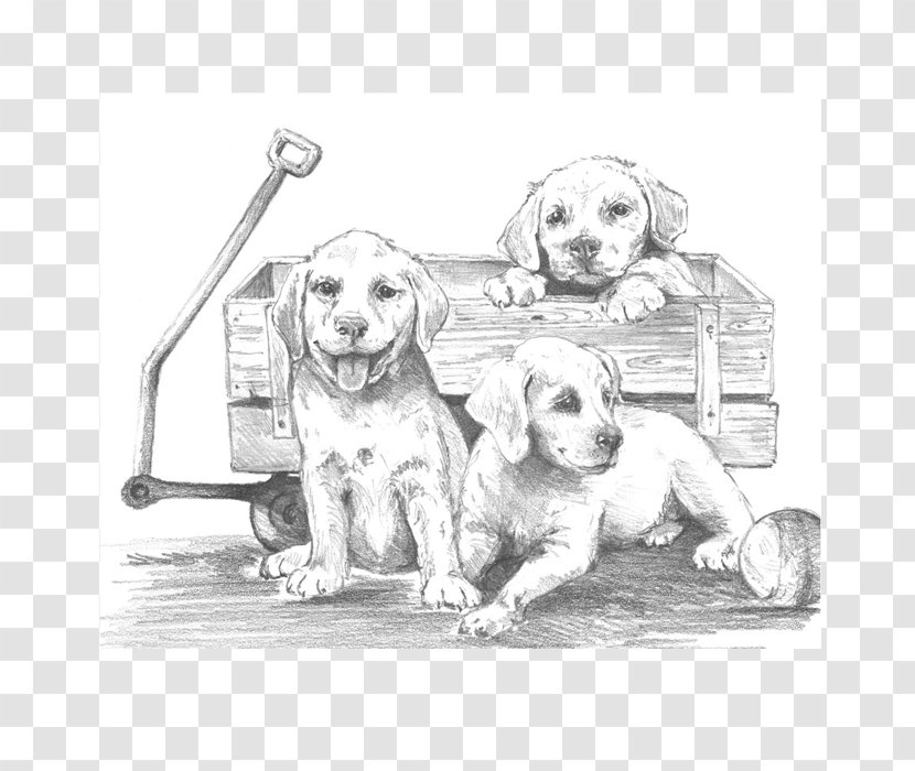 Pencil Drawing Sketching Made Easy Painting Sketch - Black And White Transparent PNG