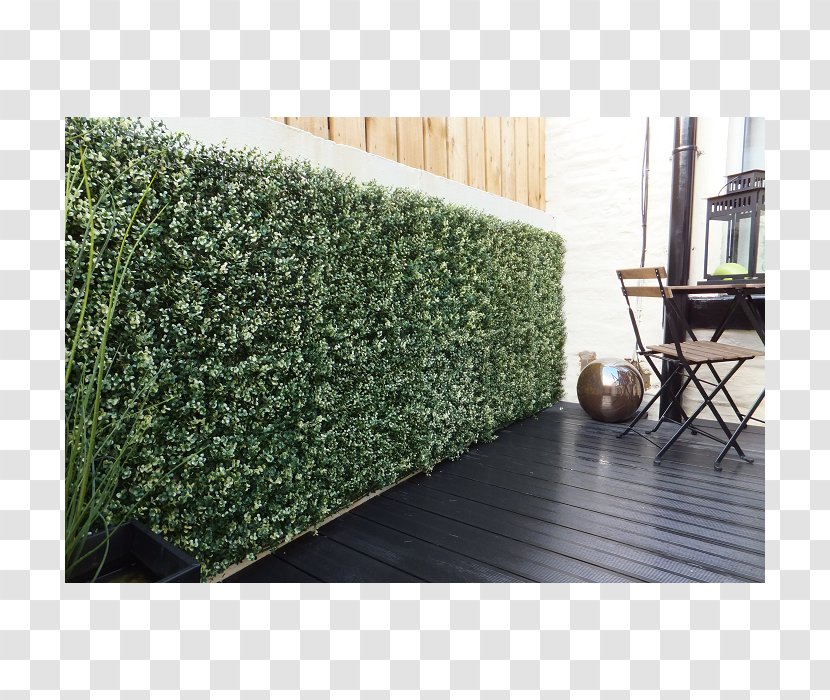 Hedge Box Fence Garden Wall Transparent PNG