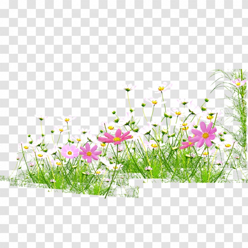 Flowers,grass,spring,bloom - Flowerpot - Skin Transparent PNG