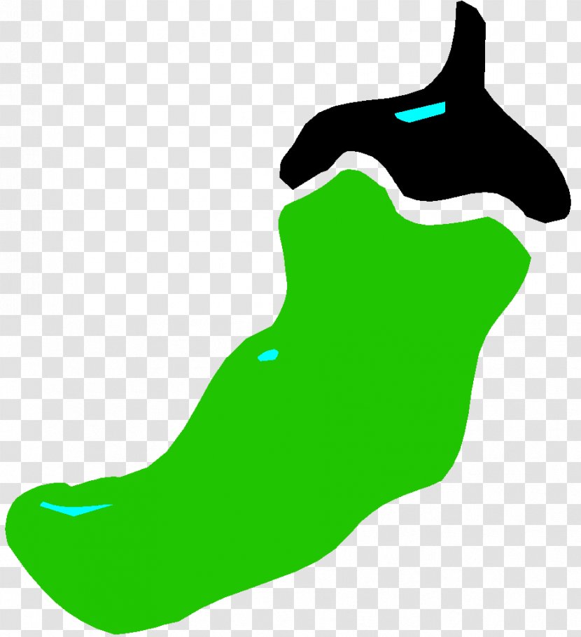 Leaf Green Marine Mammal Shoe Clip Art Transparent PNG