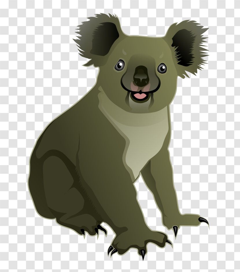 Koala Bear Clip Art - Albom - Koalahd Transparent PNG