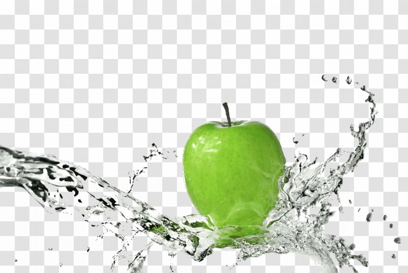 Stock Photography Fresh Water Washing - Tree Transparent PNG