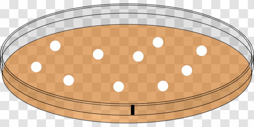 Antimicrobial Resistance Antibiotics Staphylococcus Aureus Clip Art - Petri Dish Transparent PNG