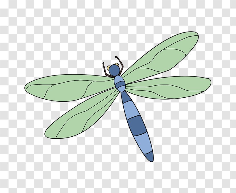A Dragonfly? Drawing Tutorial Image - Cartoon - Dragonfly Transparent PNG