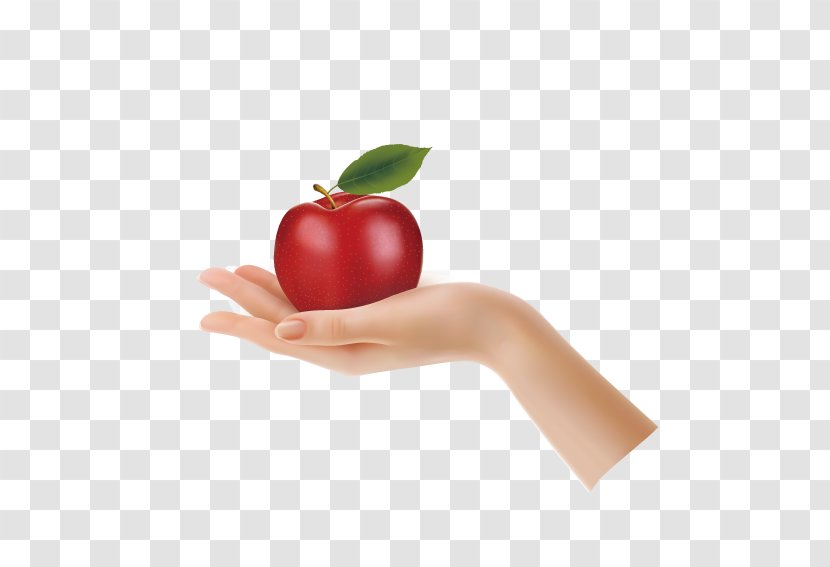 Apple Hand Stock Photography Clip Art - Satisfy Transparent PNG