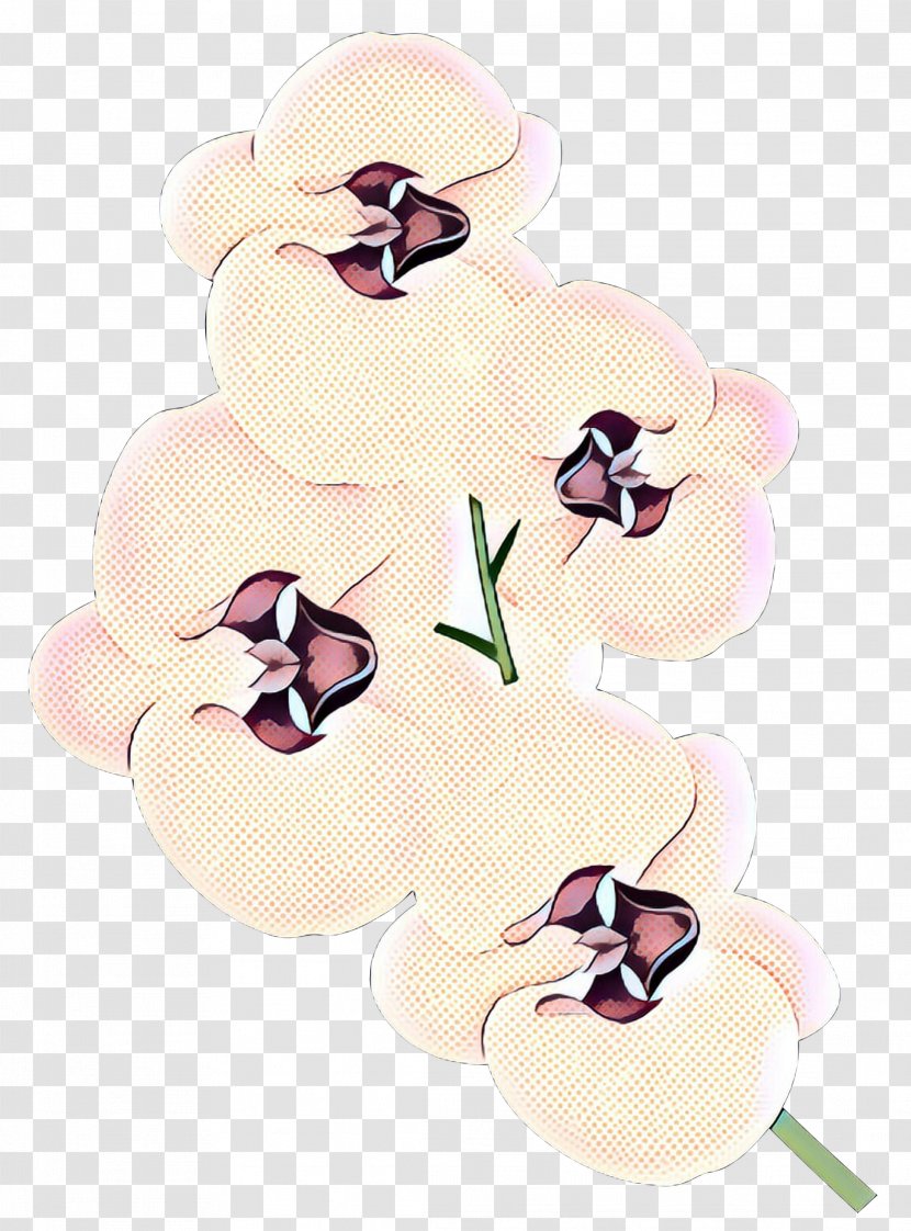Orchids Clip Art Transparency Free Content - Moth Orchid Transparent PNG