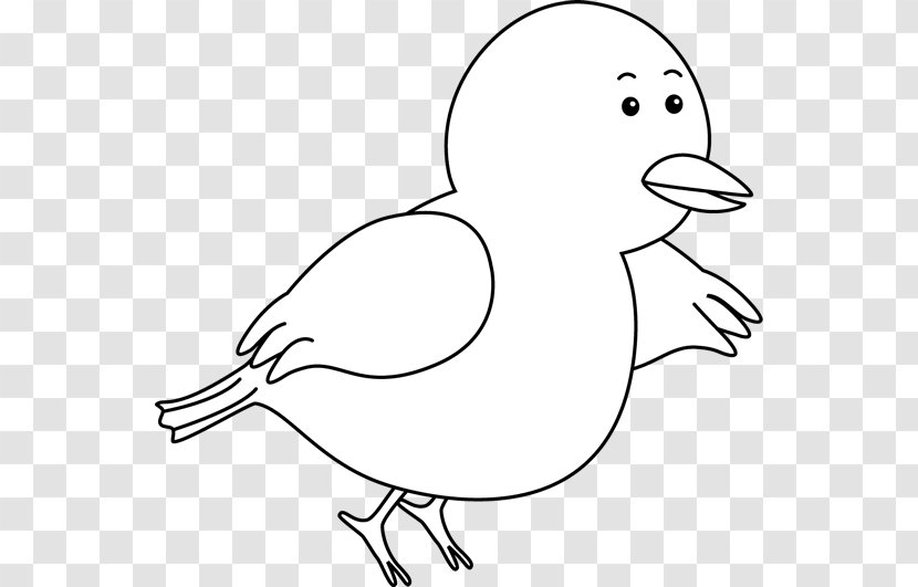 Bird Chicken Black And White Domestic Pigeon Clip Art - Flying Outline Transparent PNG