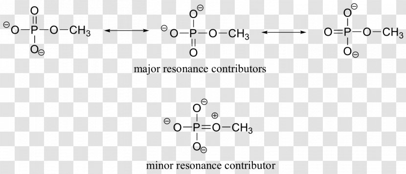 Ionization Energy Resonance Phosphodiester Bond Atom Chemistry - Tree - Photoinduced Charge Separation Transparent PNG
