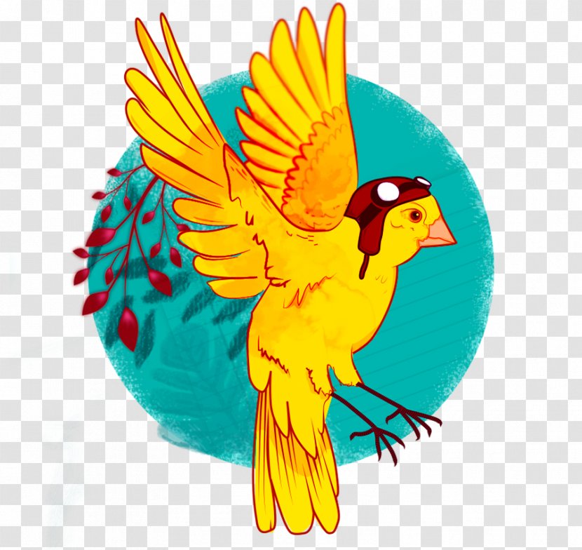 Macaw Feather Beak Parakeet Wing - Chicken As Food Transparent PNG