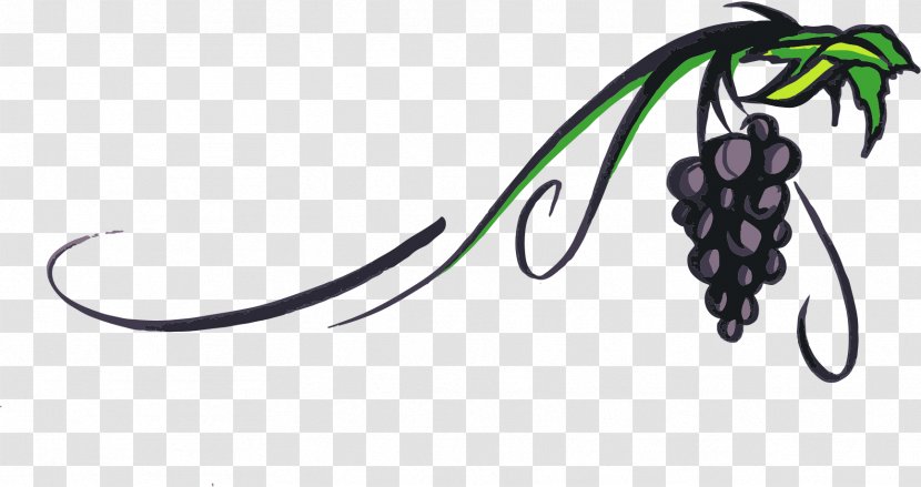 Piquepoul Wine Grape Vine Clip Art - Free Content - Cliparts Transparent Transparent PNG