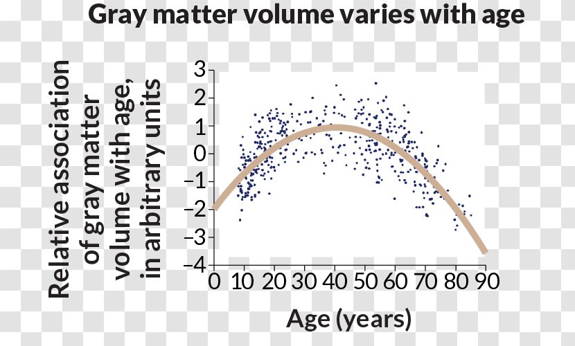 Grey Matter Aging Brain White Ageing - Cranial Nerves - Carbonate Transparent PNG