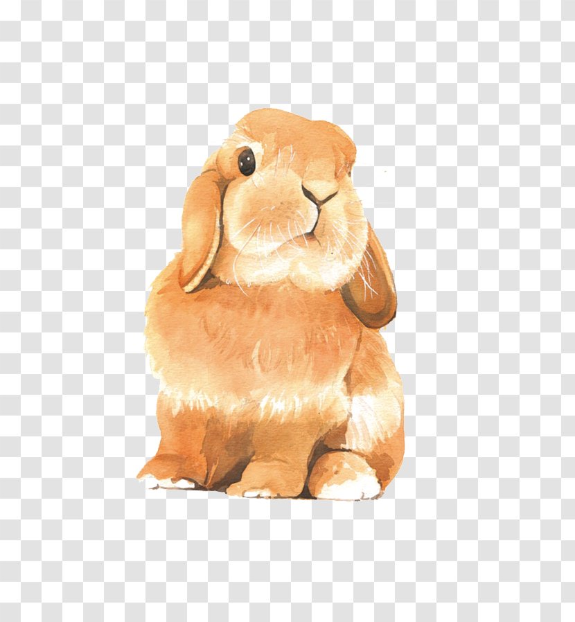 Watercolor Painting Drawing Colored Pencil Rabbit - Cartoon - Painted Brown Transparent PNG
