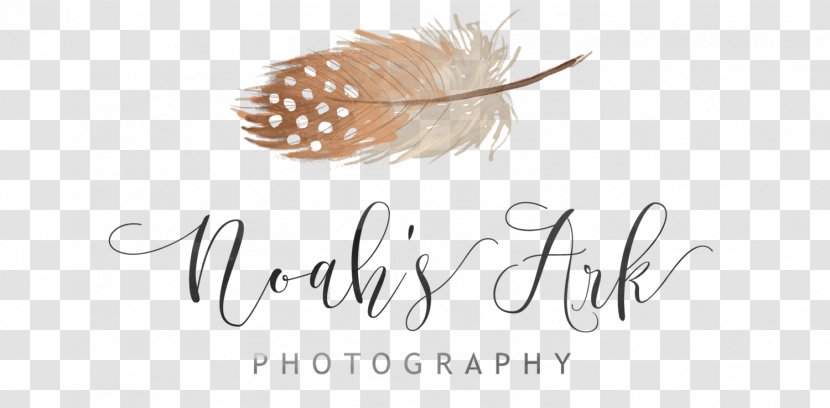 Blog Photography Referenzen Like Button Photographer - Noah's Arc Transparent PNG