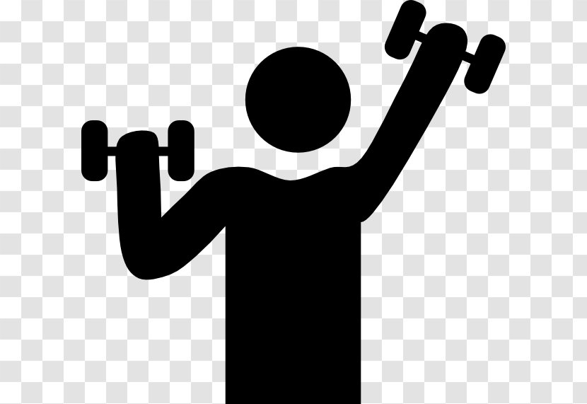 Weight Training Dumbbell Exercise Physical Fitness Transparent PNG