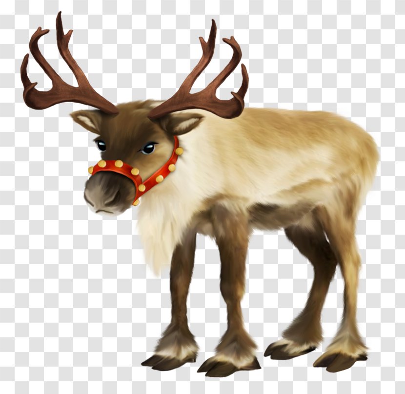 Reindeer Clip Art Psd - Santa Claus Transparent PNG