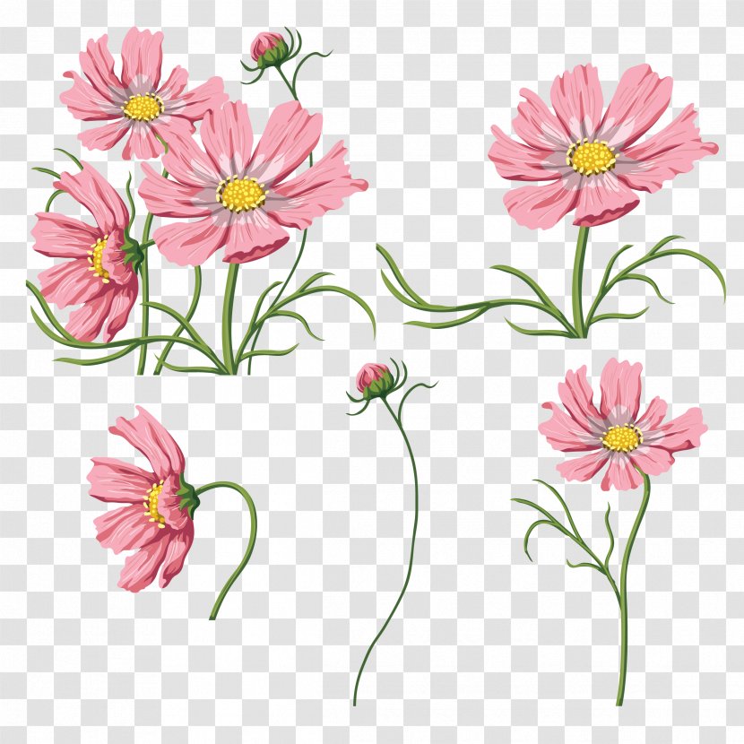 Cut Flowers Raster Graphics Flora - Pink Family - Flower Illustration Transparent PNG