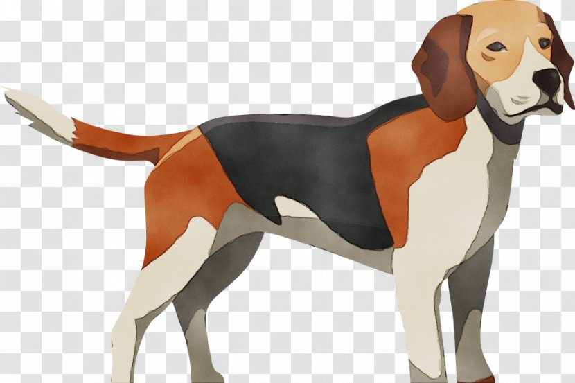 Dog Breed Beagle-harrier English Foxhound American - Harrier Transparent PNG