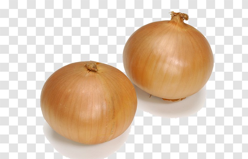 Yellow Onion S&B Foods - Sb - Brown Transparent PNG