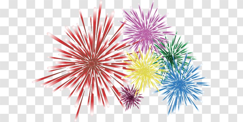 Fireworks Illustration - Event - Effect Material Picture Transparent PNG