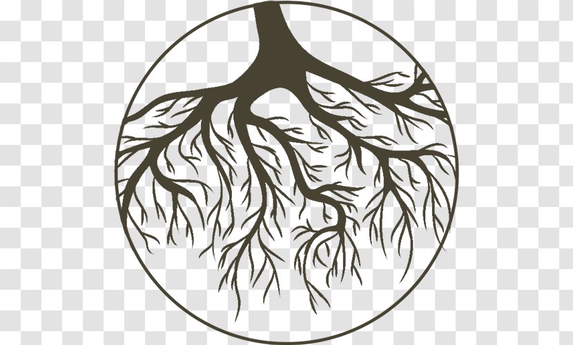 Tree Root Branch Clip Art Transparent PNG