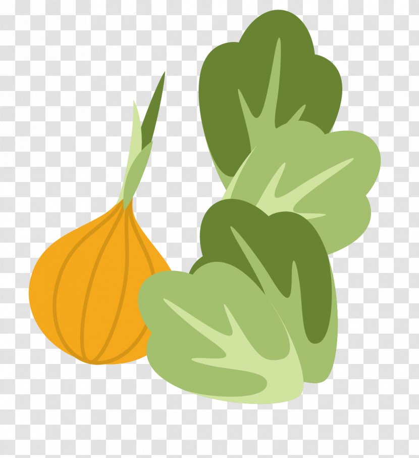 Cucurbita Napa Cabbage Vegetable Garlic - Flat And Transparent PNG