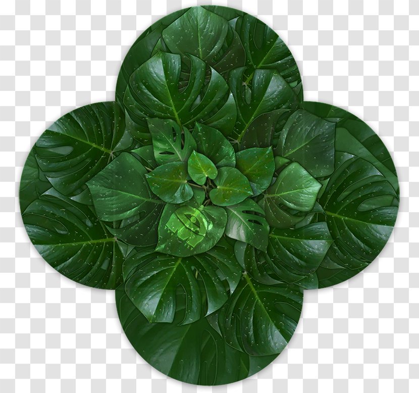 Leaf Design Herb Flowerpot Brochure - Idea Transparent PNG