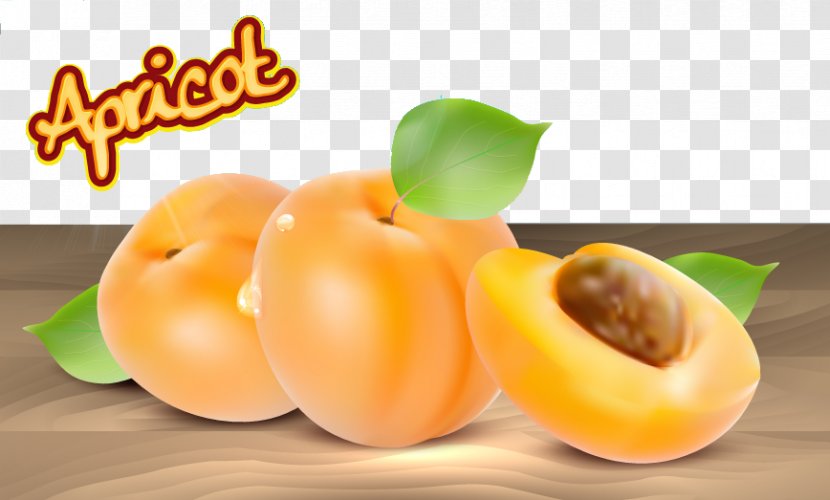 Apricot Fruit Euclidean Vector - Local Food - Number Of Apricots Transparent PNG