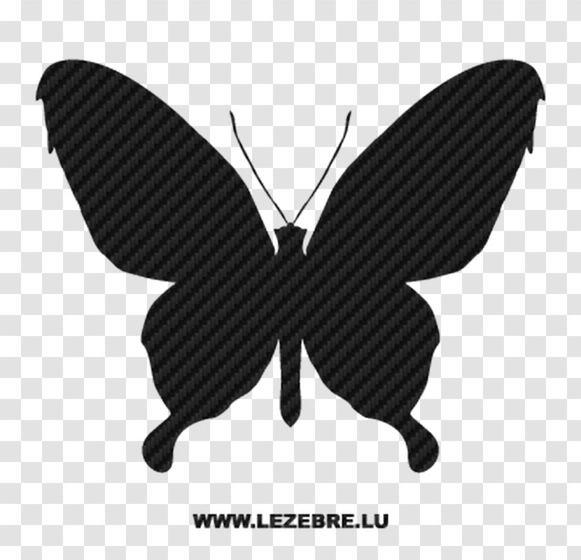 Butterfly Vector Graphics Insect Image Illustration - Black And White - Papillon Movie Review Transparent PNG