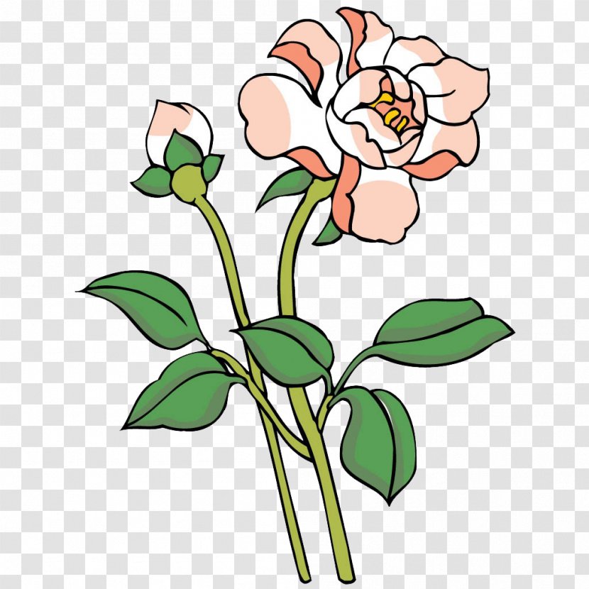 Floral Design Painting - Peony Transparent PNG
