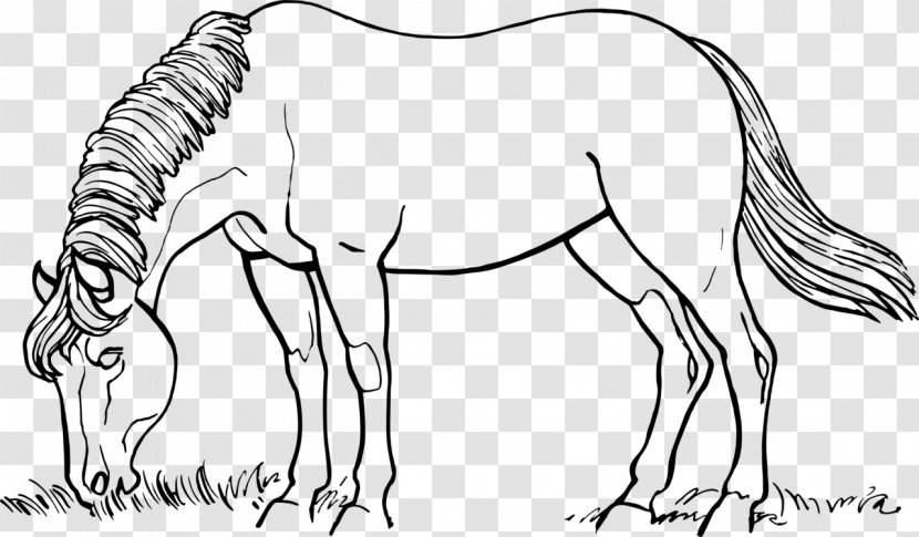 Book Black And White - Mane - Liver Animal Figure Transparent PNG