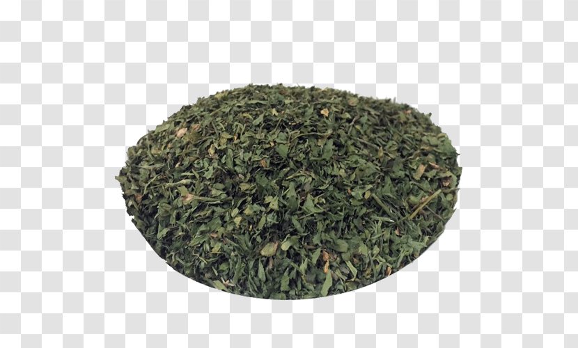 Nilgiri Tea Tieguanyin Plant - Earl Grey - Especiarias Transparent PNG