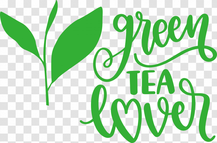 Green Tea Lover Tea Transparent PNG