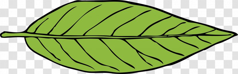 Leaf Autumn Clip Art - Plant Stem Transparent PNG