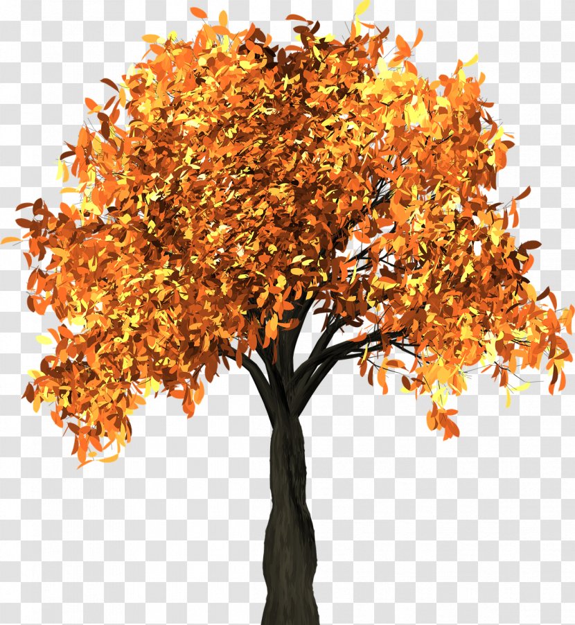 Autumn Leaf Color Tree Branch Clip Art - Deciduous - Falling Transparent PNG
