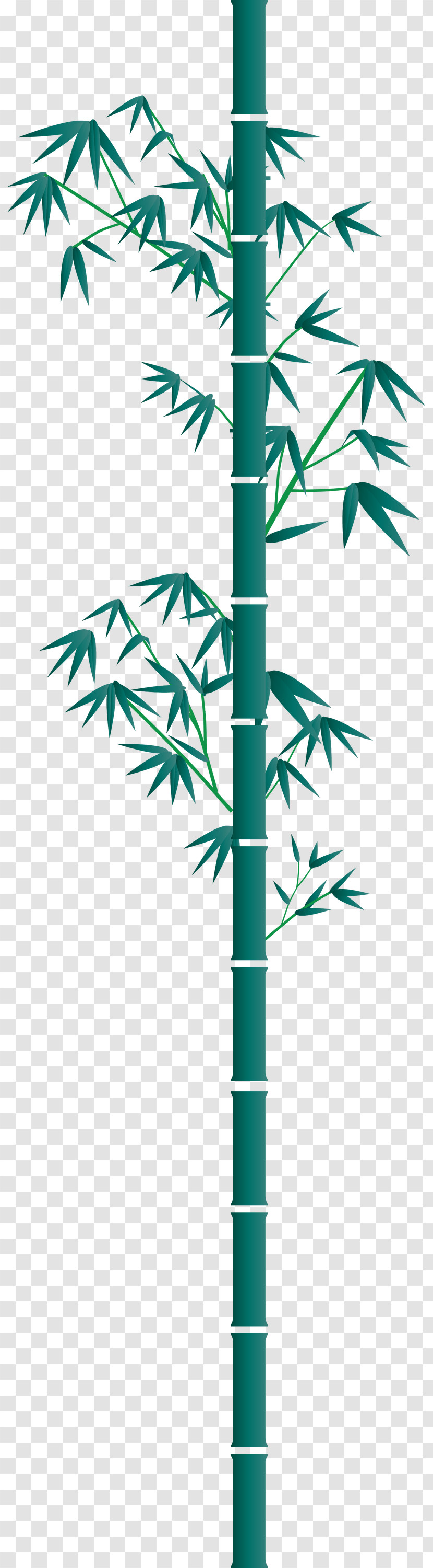 Bamboo Leaf Transparent PNG