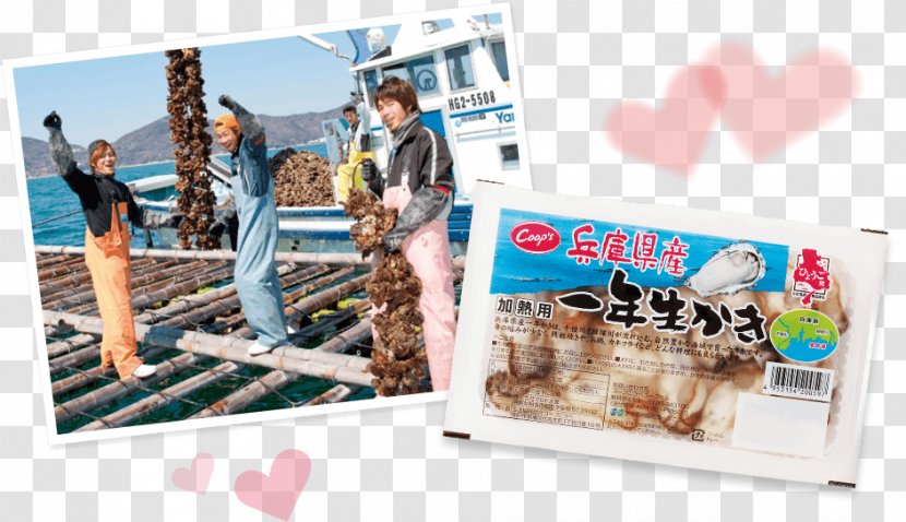 Co-op Kobe Consumers' Co-operative Private Label Voluntary Association - Oysters Transparent PNG