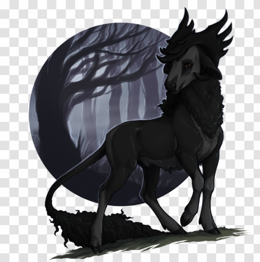 Drawing DeviantArt Pony Stallion - Animal - Black Wood Transparent PNG