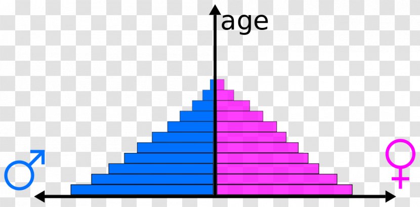 Population Pyramid Chart World - Symmetry - Good Shape Transparent PNG