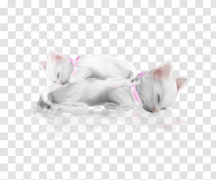 Kitten Whiskers Cat Paw - Ear Transparent PNG