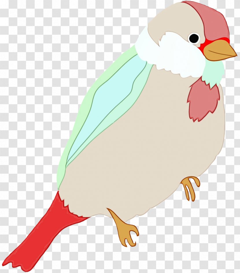 Bird Beak Clip Art Flightless - Watercolor Transparent PNG