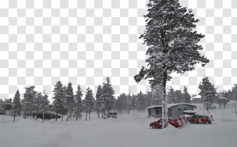 Finland Sweden Wallpaper - Landscape - Snow Five Transparent PNG