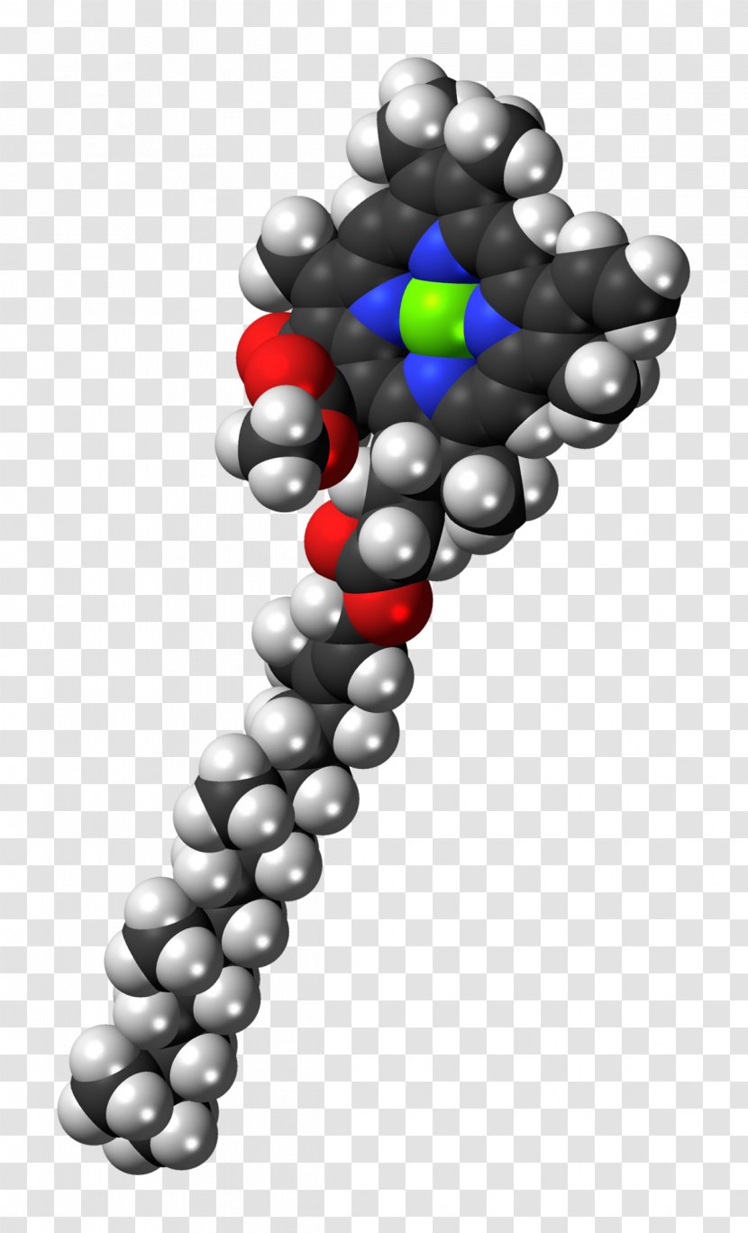 Light Chlorophyll A B Photosynthesis - Green - Color Pigments Transparent PNG