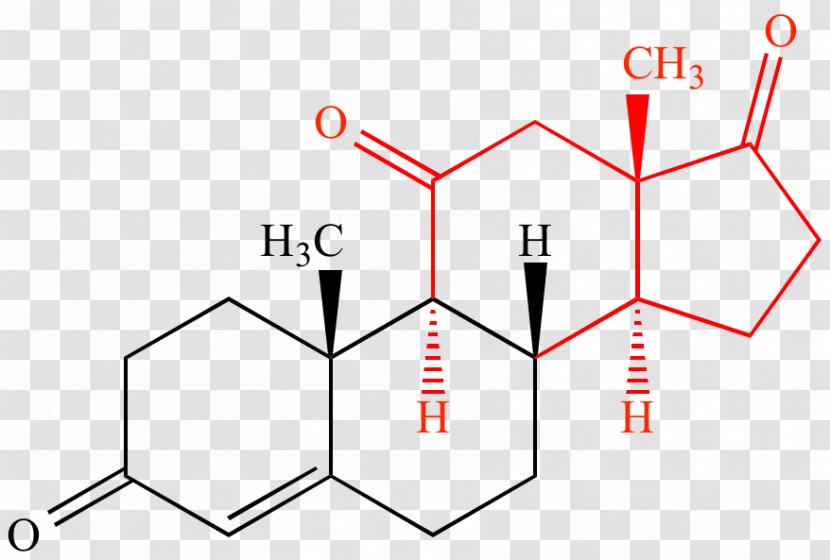 Chemical Formula Aldosterone Estradiol Compound Androstenedione - Heart - Organic Chemistry Transparent PNG