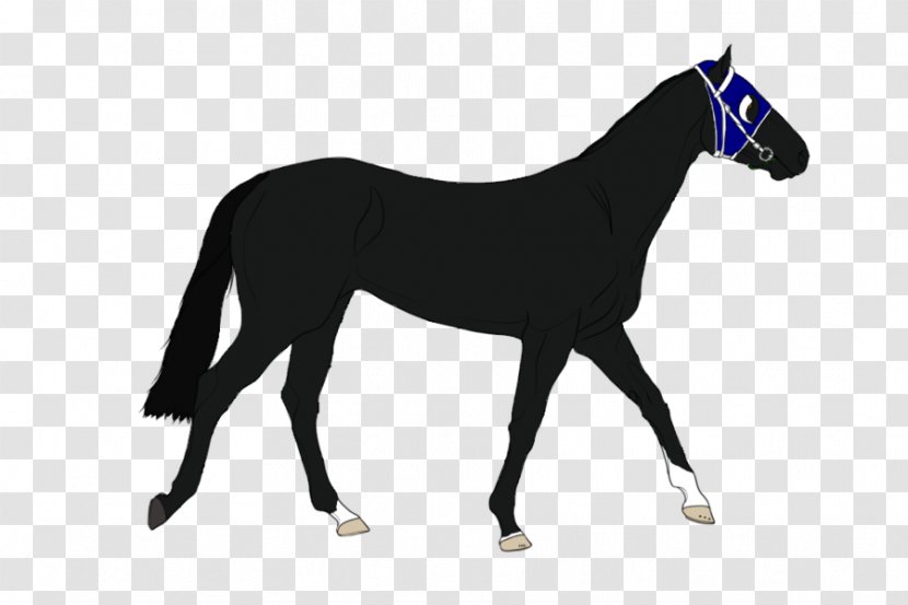 Foal Stallion Mare Colt Mustang - Horse Like Mammal Transparent PNG