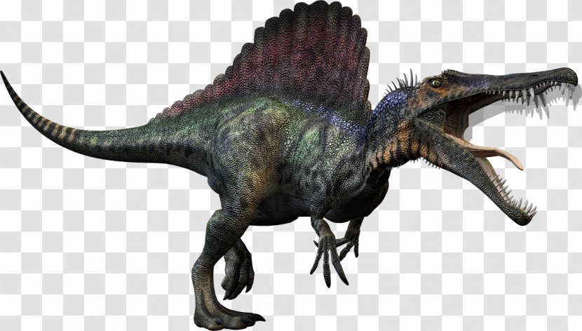Spinosaurus Tyrannosaurus Giganotosaurus Carnivores: Dinosaur Hunter Carcharodontosaurus - Animal Claws Transparent PNG