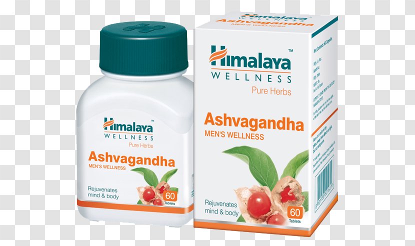 The Himalaya Drug Company Health, Fitness And Wellness Ayurveda Tablet Capsule - Overweight Transparent PNG