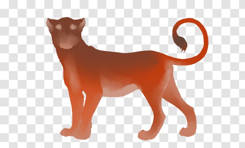 Cat Lion Dog Carnivora Mammal - Tigon - Pruning Transparent PNG