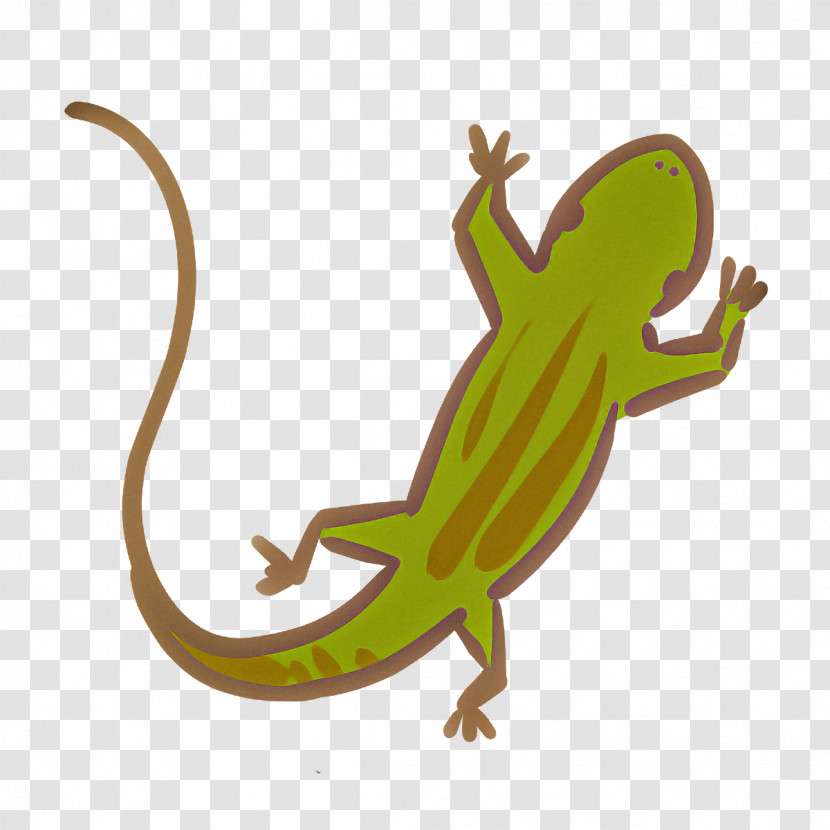 Gecko Lizard Reptiles Chameleons Common Iguanas Transparent PNG