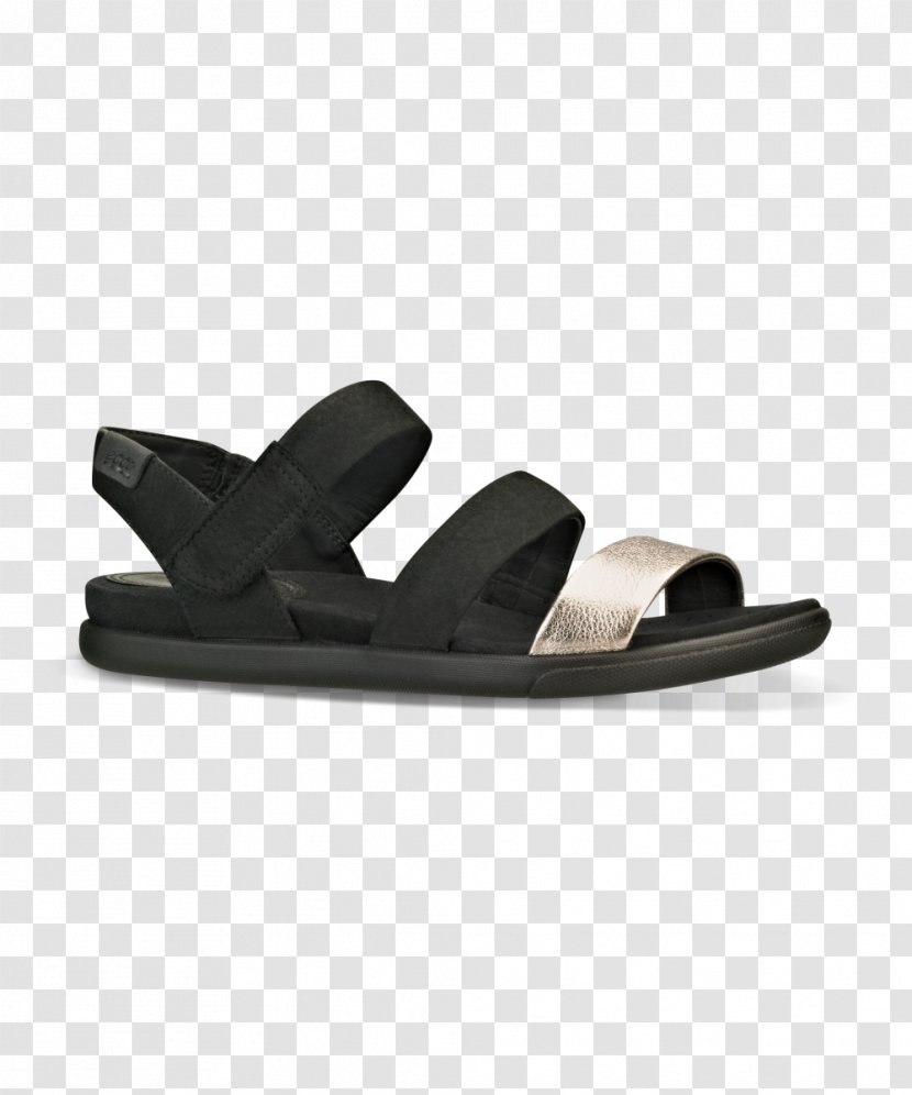 Slide Product Design Sandal Shoe - Footwear Transparent PNG