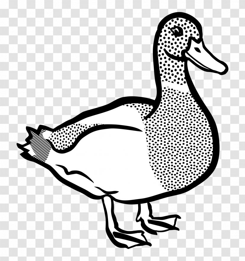 American Pekin Duck Mallard Clip Art - Donald Transparent PNG